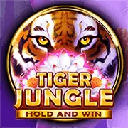 Đồ họa sắc nét game slot